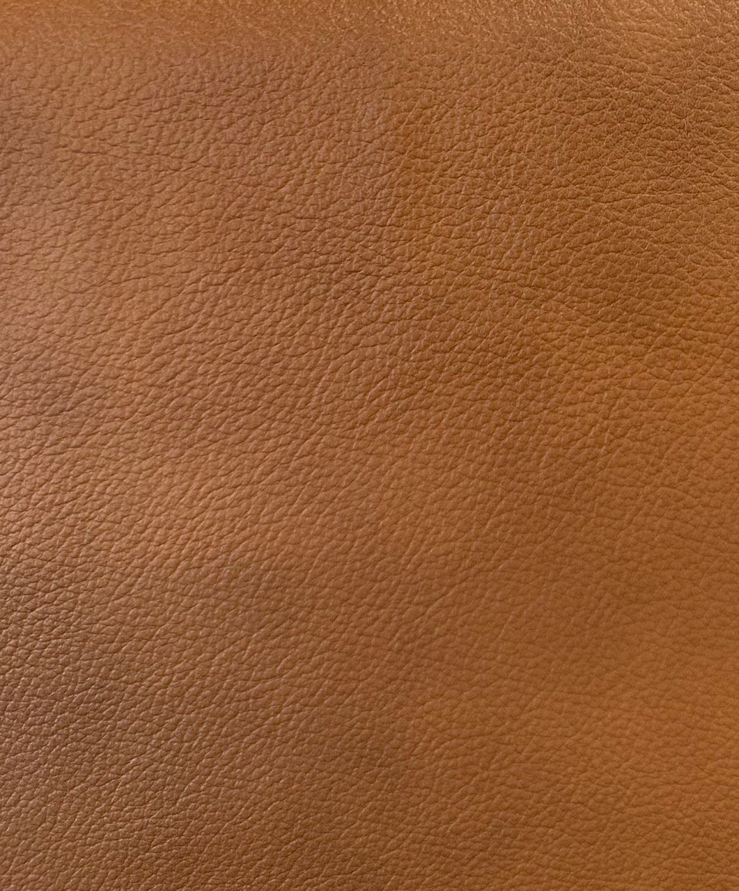 Leather and Fabric Samples | S10Home